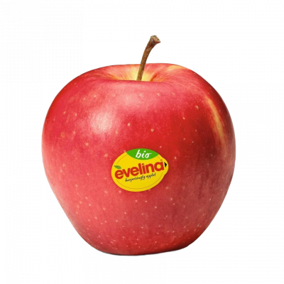 Äpfel Evelina - mela evelina